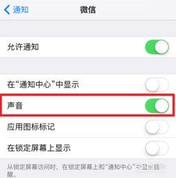 苹果微信小视频没声音,苹果微信小视频无声音问题解析与解决