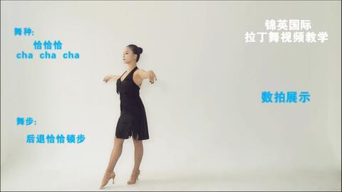 初级恰恰教学视频,轻松入门,舞动快乐时光