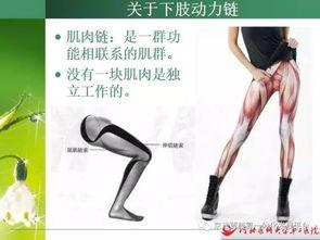 髋关节康复锻炼的视频,视频教程详解与实操步骤