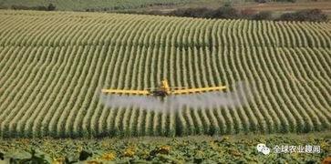 灌溉农业视频,科技助力农业发展的创新实践