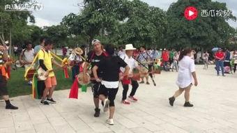 彝族舞蹈视频大全,视频大全中的民族韵律之旅