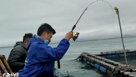 海钓鱼排视频