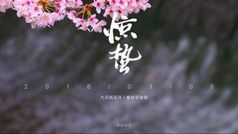 惊蛰视频,春雷唤醒万物，探寻自然节气的奥秘